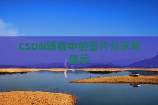 CSDN博客中的图片分享与展示